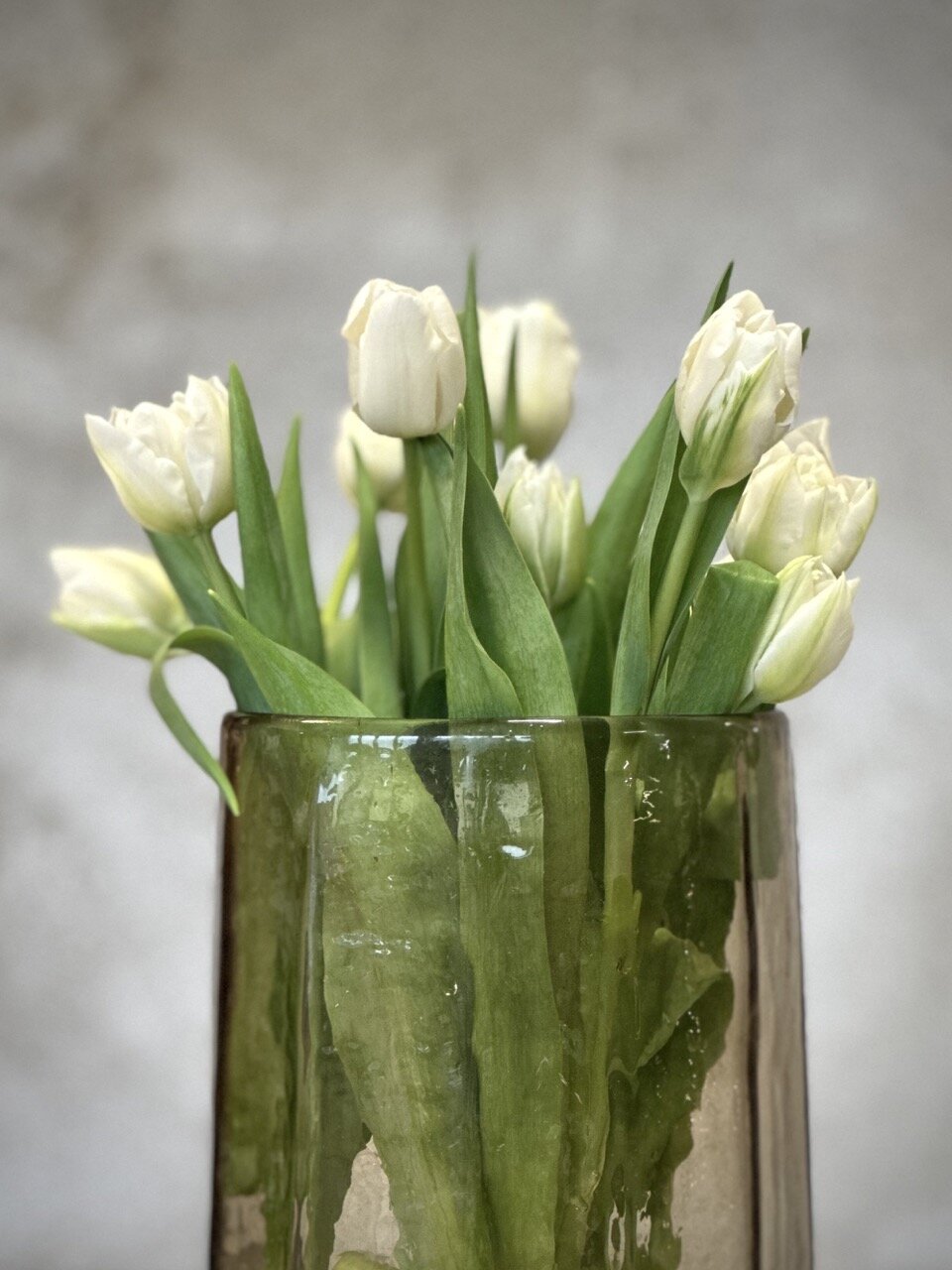 ROBI large glass hurricane / vase, smoke glass