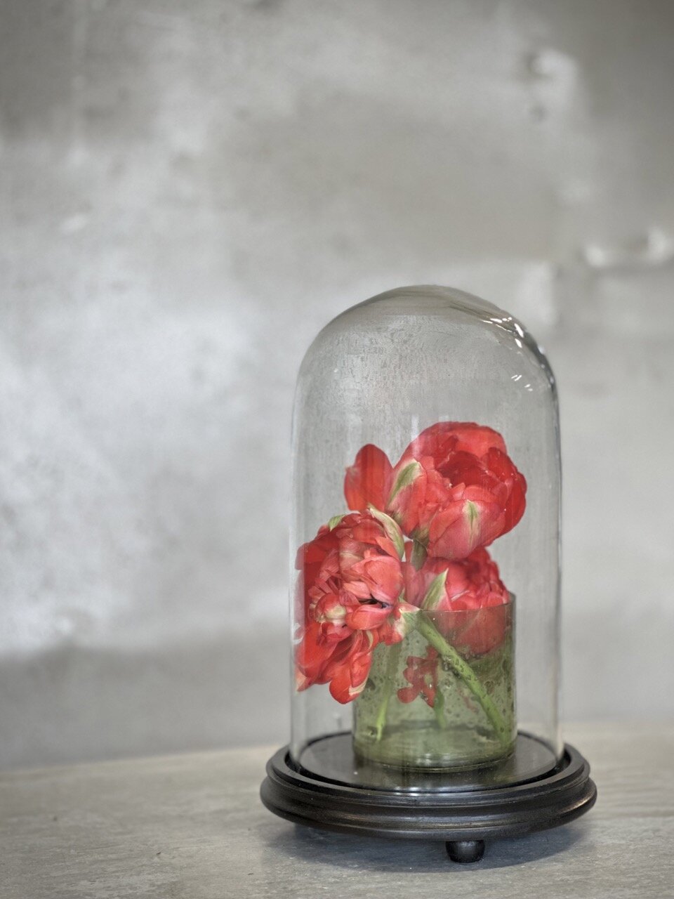 VALLON small round glass dome with black base
