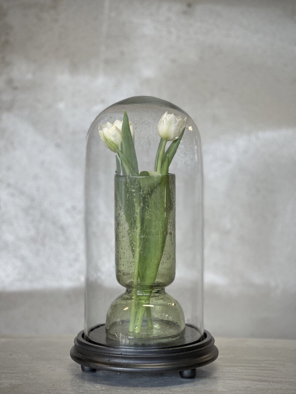 VALLON medium glass dome with black base