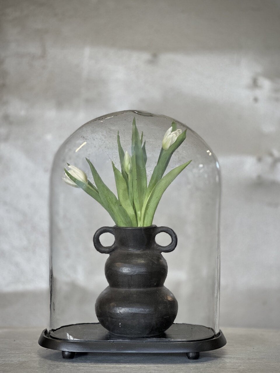 MAZA oval glass dome with black base