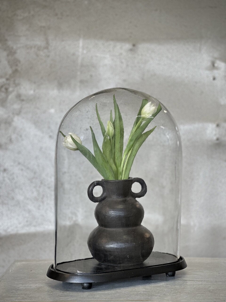 MAZA oval glass dome with black base