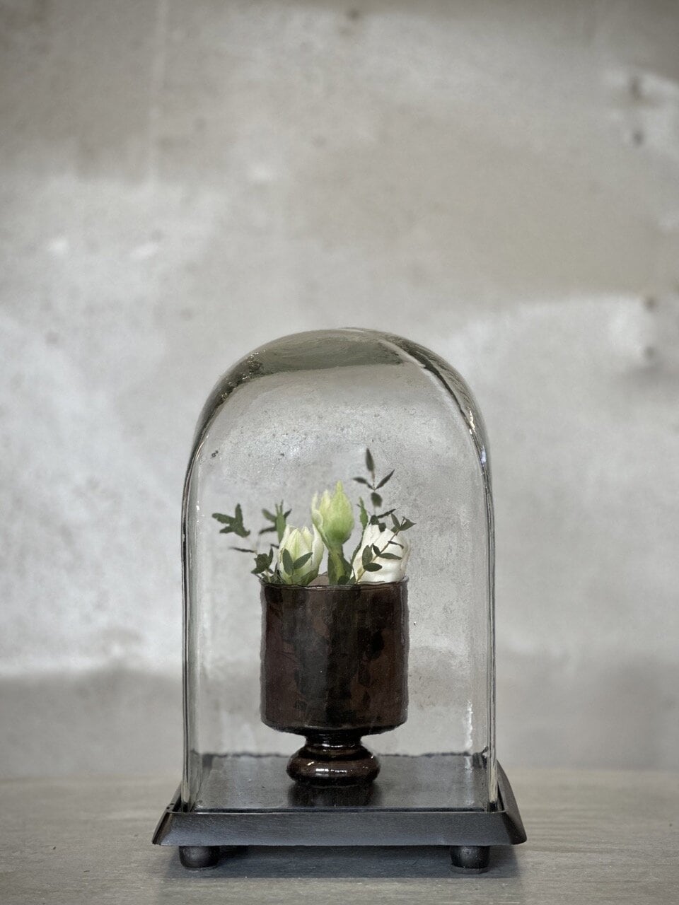 ZAC square glass dome with black base