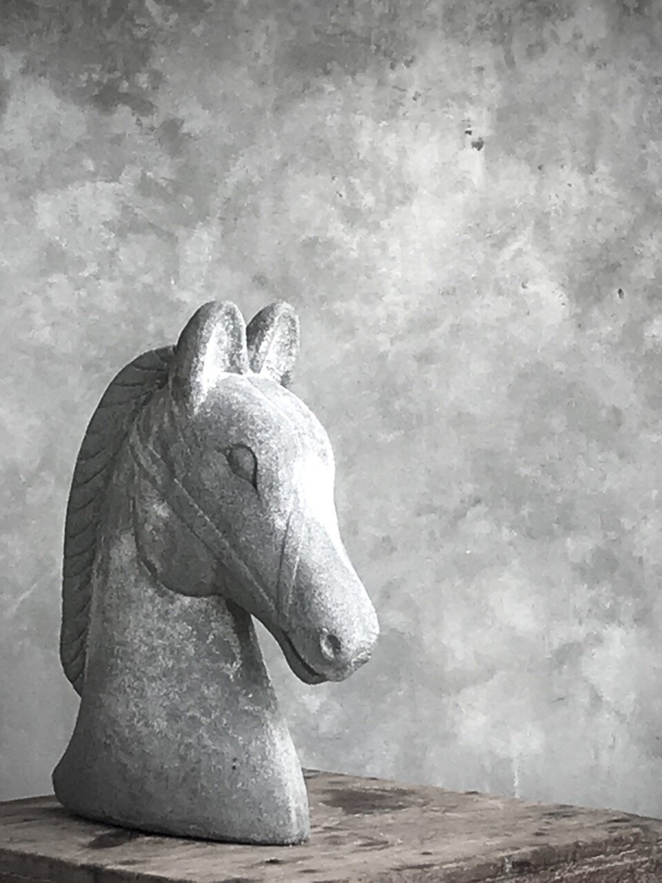 BRUTUS large horse head, antique grey stone